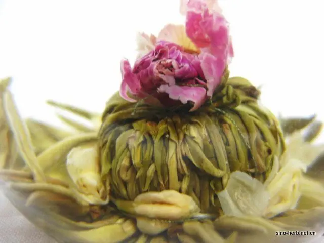 blooming tea rose jasmine 1