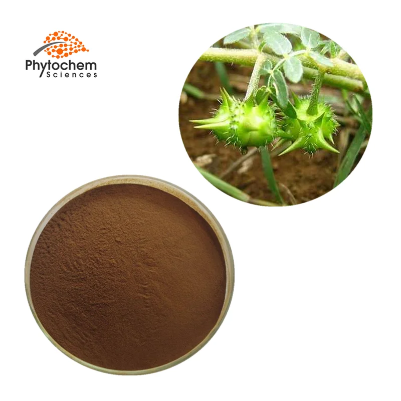 Bulk 90 Saponins 40 Protodioscin Tribulus Terrestris P.e. Extract Powder Tribulus Terrestris