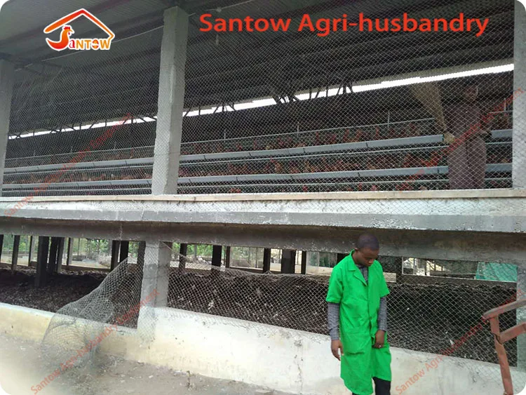 Hot Supply Hens Laying Cage Wholesale Price Chicken Layer Cage Automatic Egg Collecting Machine For Poultry