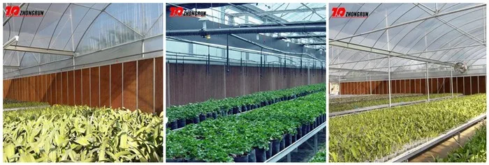 greenhouse cooling pad -jackson170411