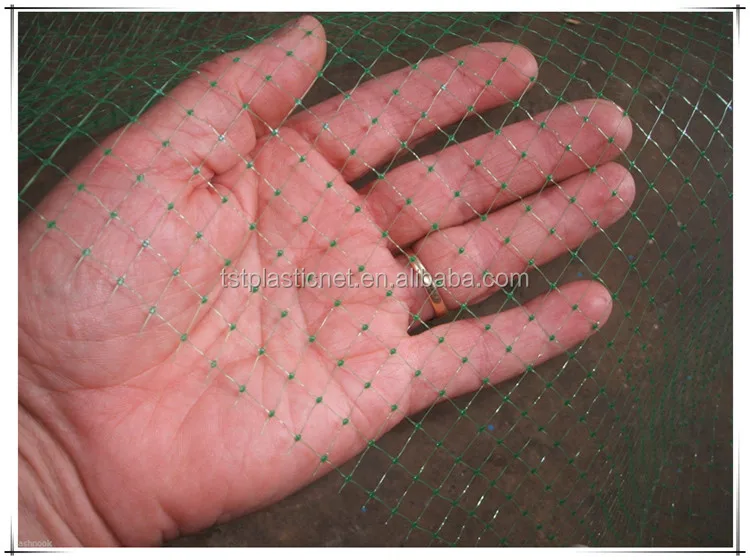 green bird netting.jpg