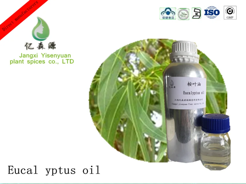 Oem/odm Service Pharmaceutical Grade Bulk Eucalyptus Essential Oil With