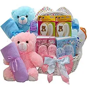 Art of Appreciation Gift Baskets Double The Fun New Baby Gift Basket, Twin Girl and Boy by Art of Appreciation Gift Baskets