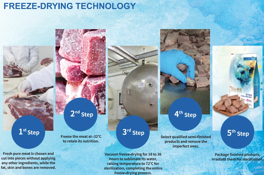 fd TECHNOLOGY