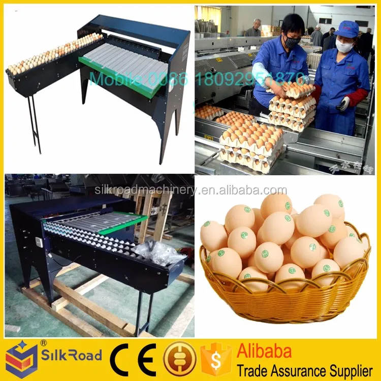 egg grading machine (8).jpg