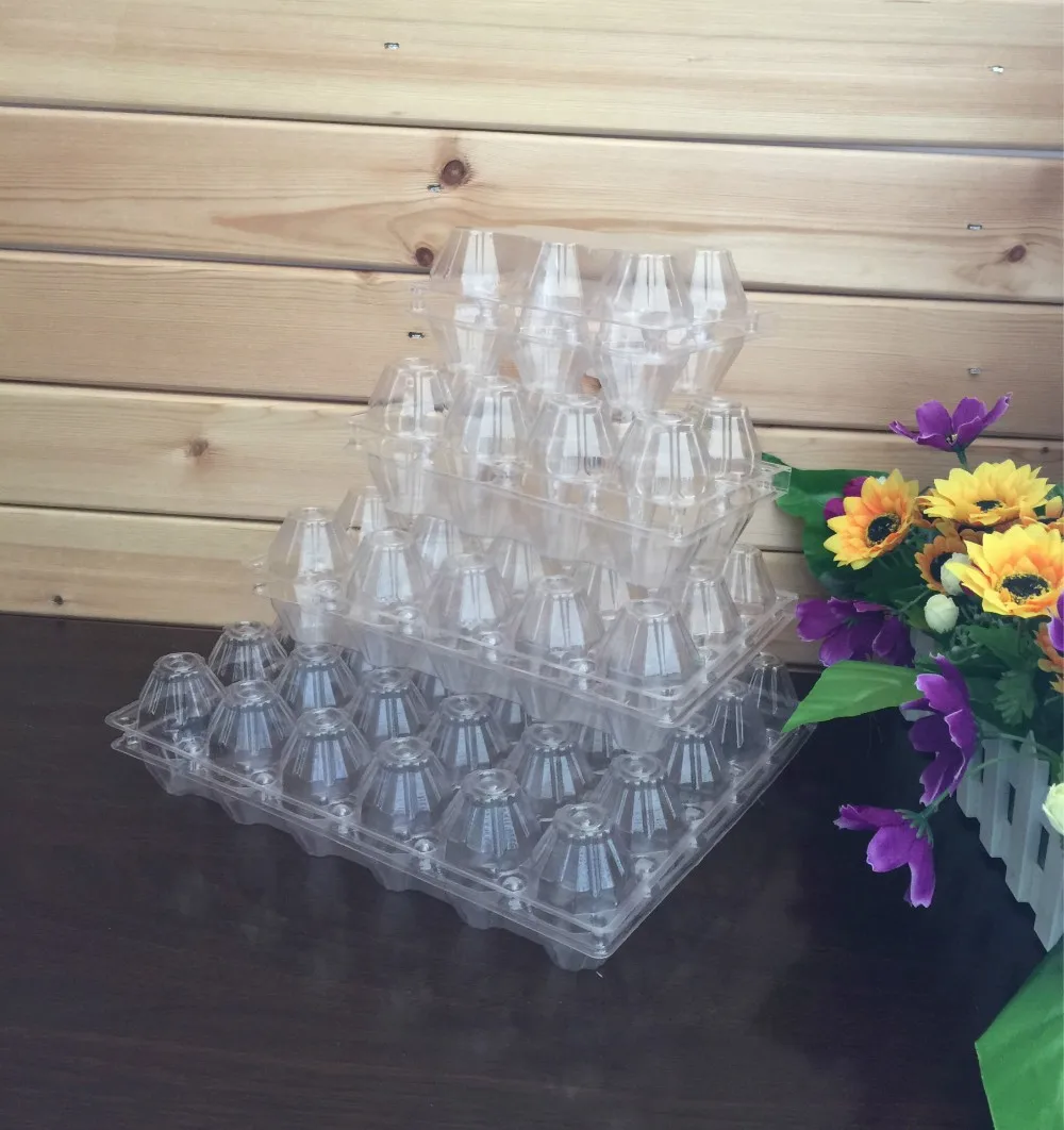 Plastic Quail Tray Quail Egg Packaging Quail Egg Cartons For Sale Buy Quail Egg Tray,Clear