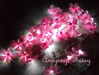 Fairy Lights Pink Frangipani Wedding Flower String Gifts Fairy Lights Pink Frangipani Wedding Flower String Gifts