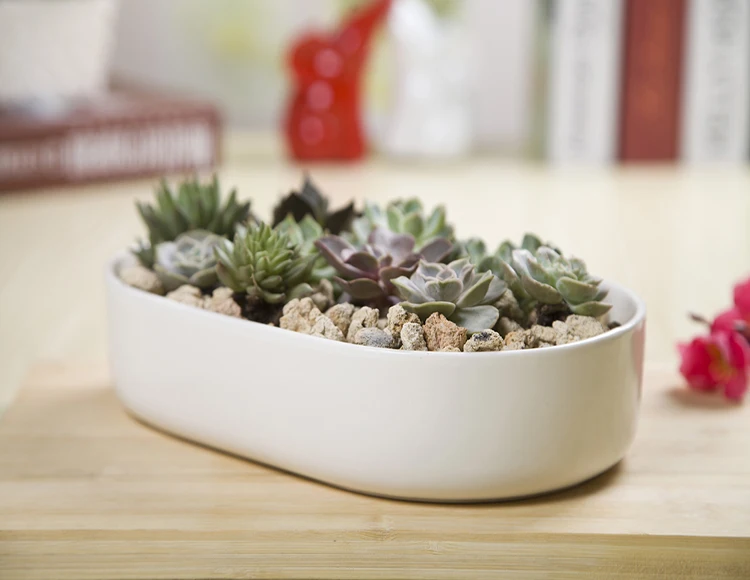 Flower plot Decorative Geometry Hexagon White Ceramic Succulent Plant Porcelain Plant Pots