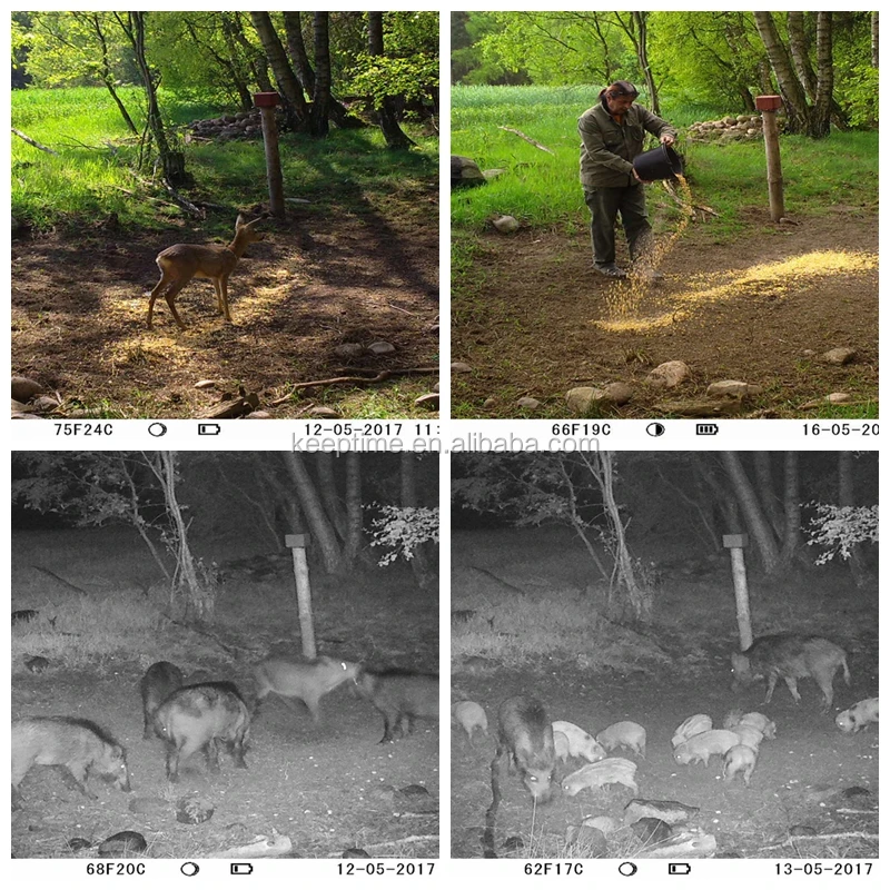 KG891 4G 16MP MMS SMTP FTP can send images via email or message wireless hunting trail camera