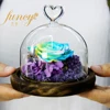 Factory Hot Sales Preserved Eternal Natural Rainbow Rose Black Rose Flowers Gift items with best price