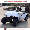 /product-detail/customized-2-seats-electric-golf-cart-mini-electric-vehicle-60543512785.html