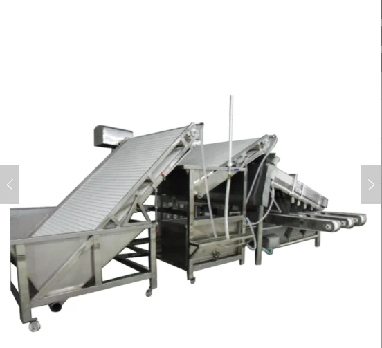 Shrimp Processing Shrimp Shell Machine Best Selling Shrimp Peeling ...