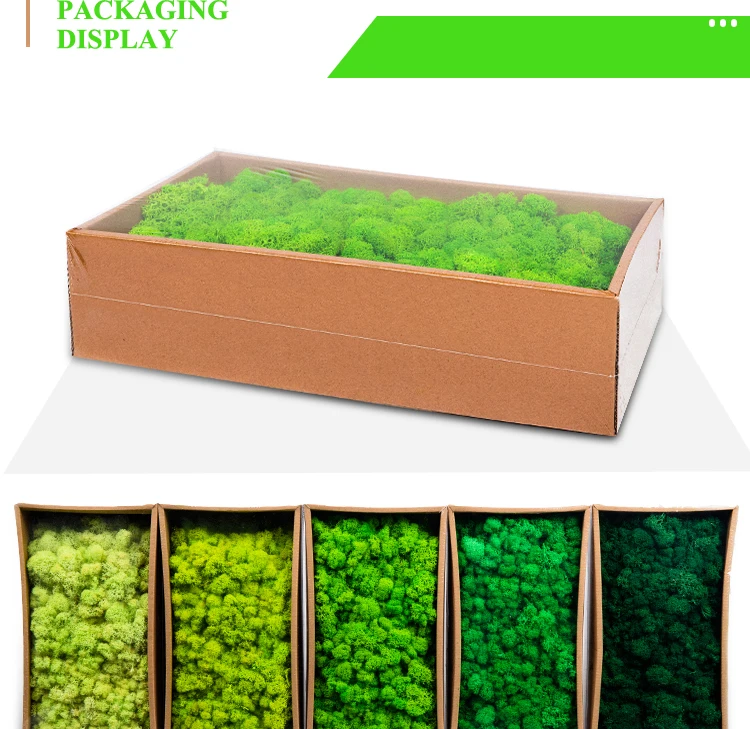 Wholesales Green Natural Preserved Sheet Moss For Interior Decoration