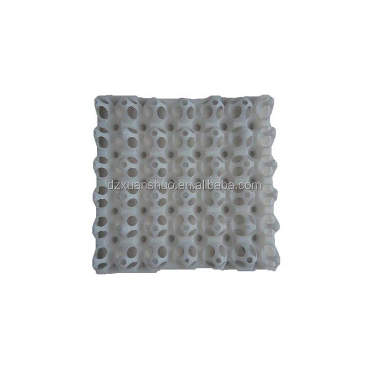 egg tray 4.jpg