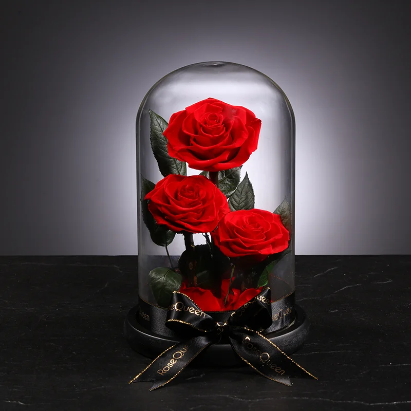 rose-in-glass-dome.png