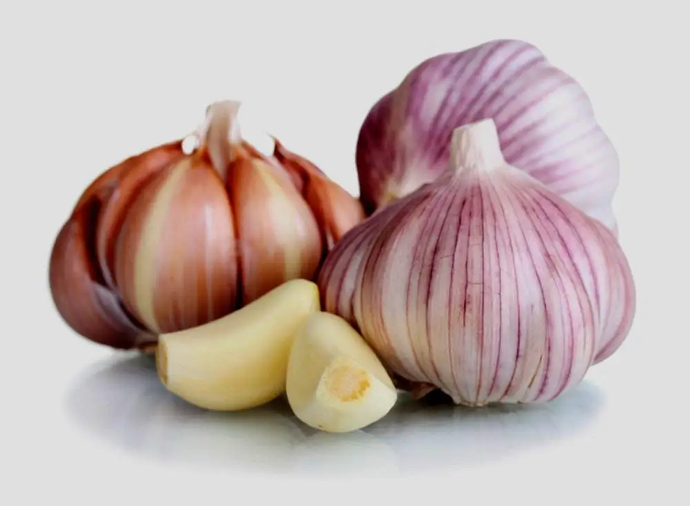 Cheap Garlic Planting Machinery Find Garlic Planting Machinery Deals 