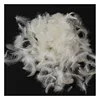 wholesale Bulk washed white goose / duck down cheap feathers for sale Natural Goose Feather