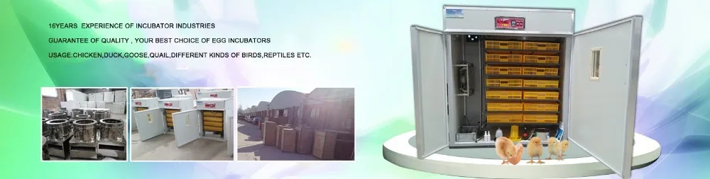 20000 Egg Incubator Best Quality Factory Price With Ce ...