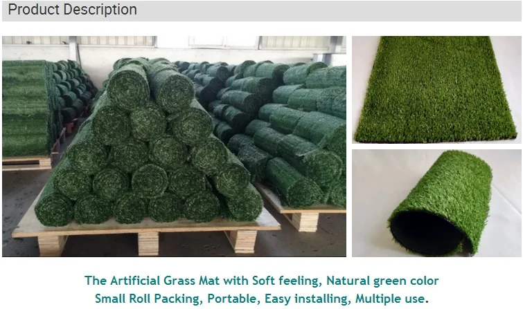 Product Description 1