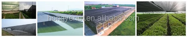 New HDPE anti uv sun shade net for agriculture greenhouse