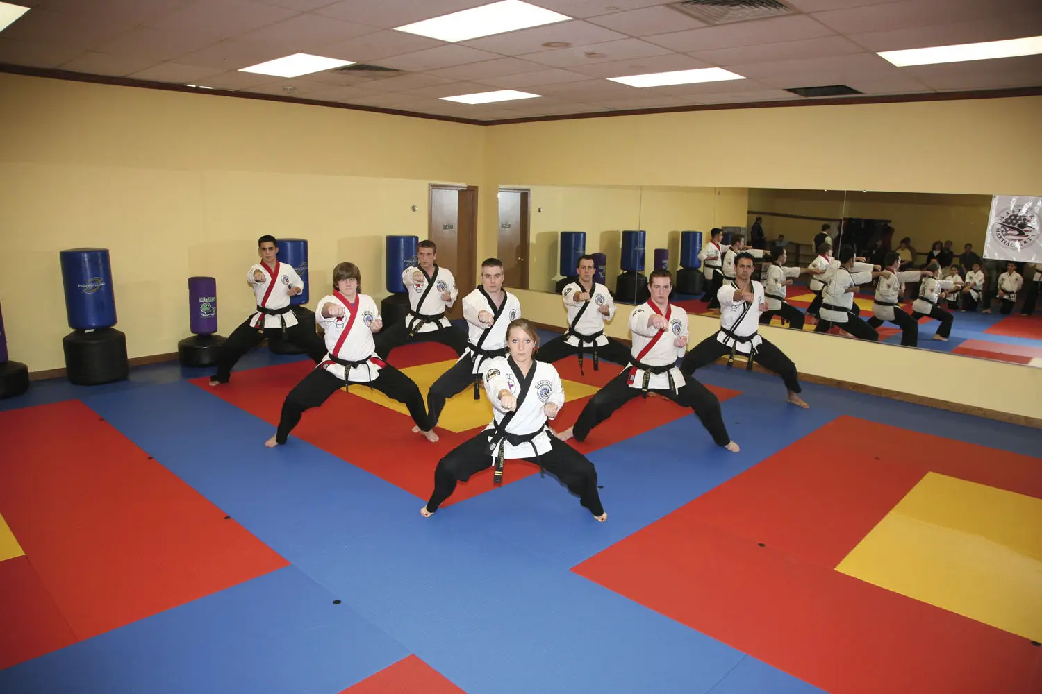 Martial Art Taekwondo Mats Buy Martial Art Taekwondo Mats,Gym Mat