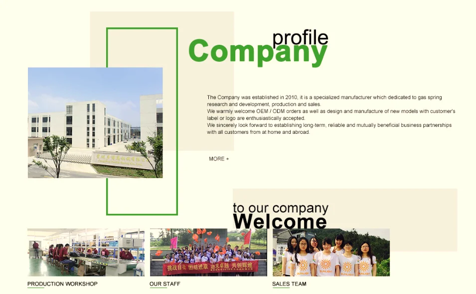 DS Company profile