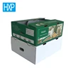 CMYK Fruit carton box fresh fruit export packaging