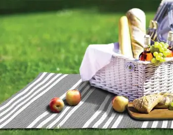 disposable picnic blanket
