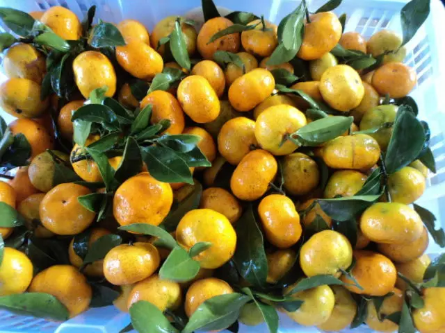 4873a5cc1451117cd45531b4a0954feb