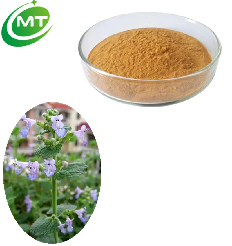 Catnip Extract1