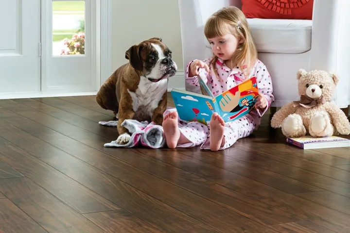 Pet At Home Интернет Магазин