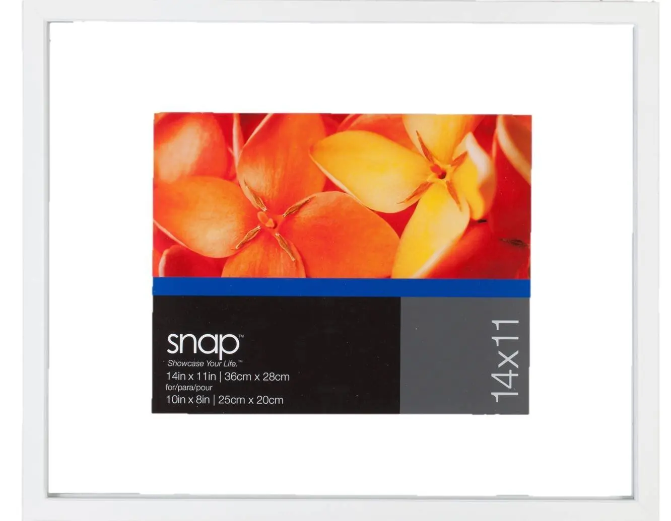 12 X Frame White Find Deals On Line At Get Quotations Snap 12x12 Float Frame For Floating Display Of 8x8 Image White