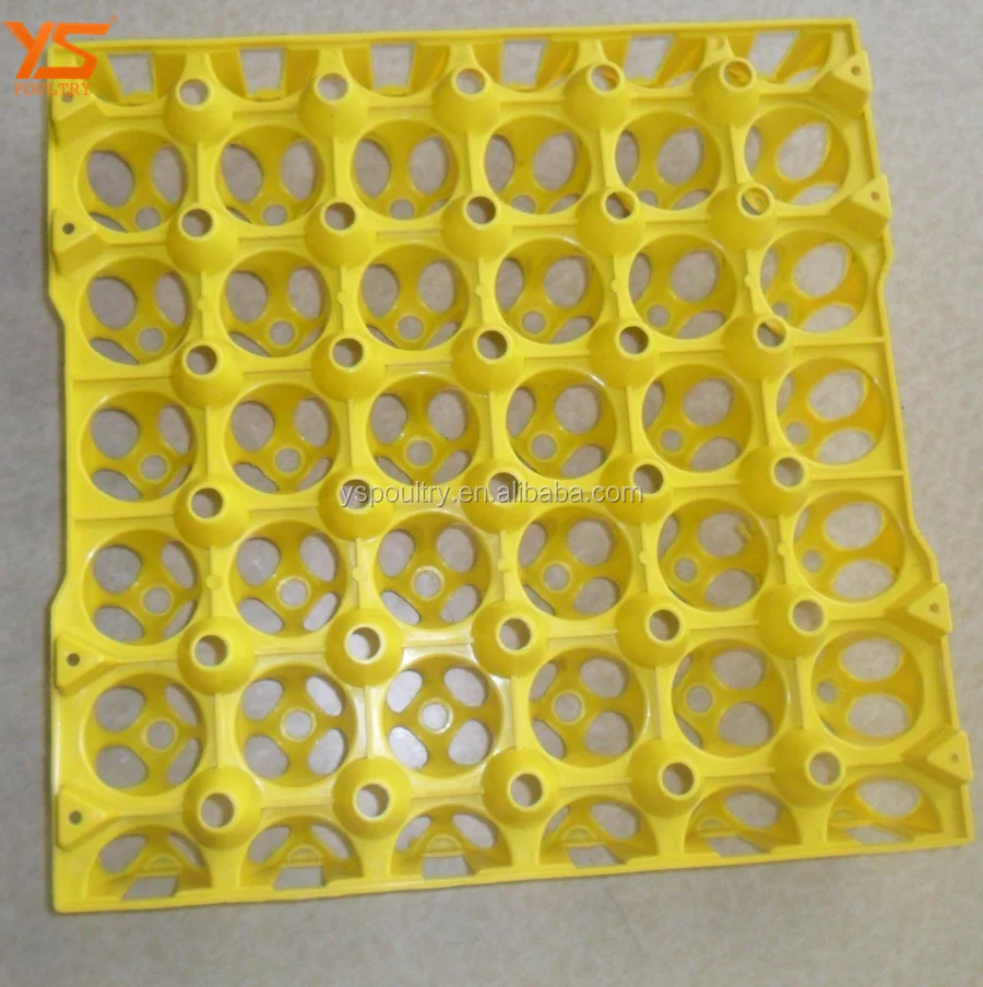 plastic egg tray 40.png