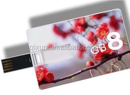 usb.28.jpg