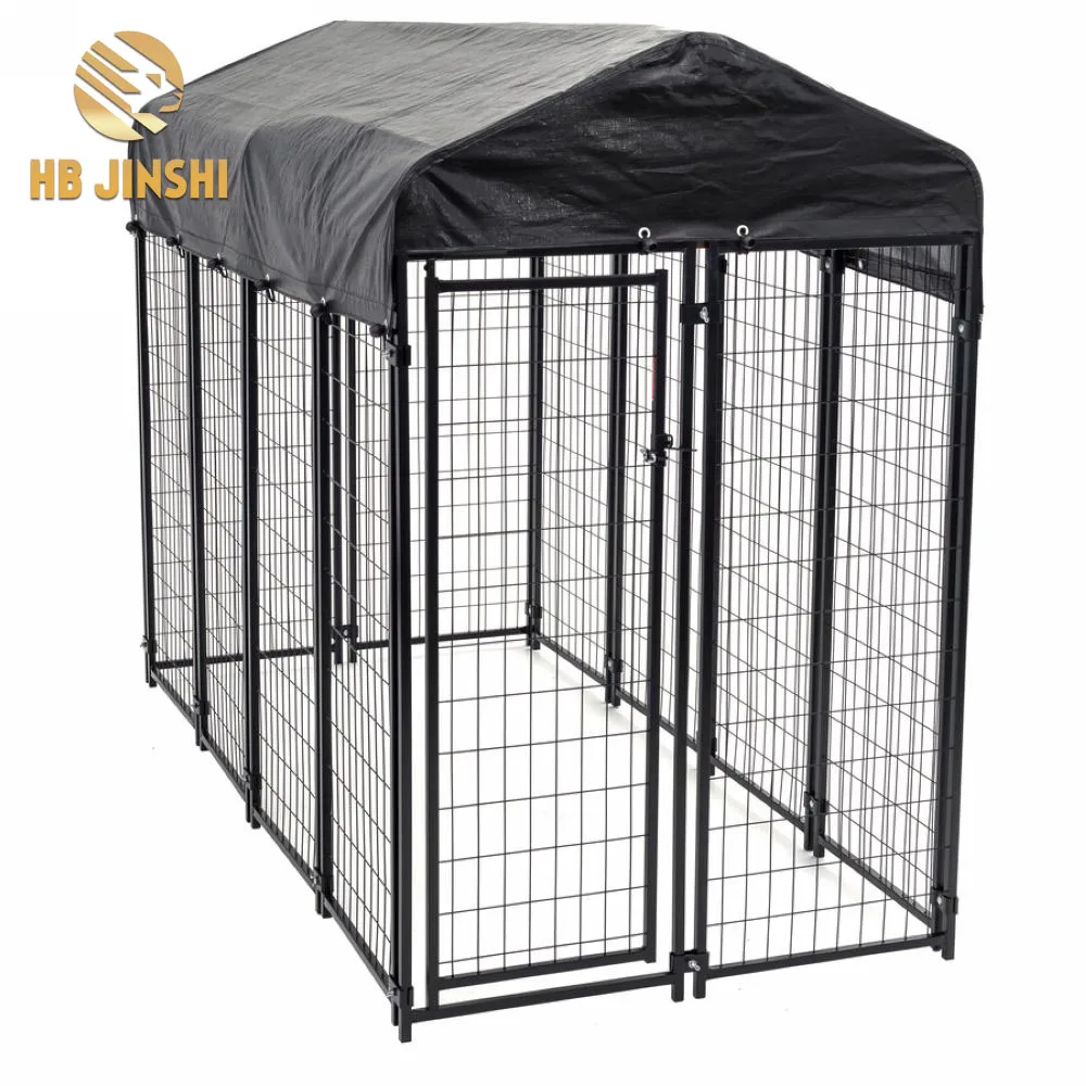 dog kennel