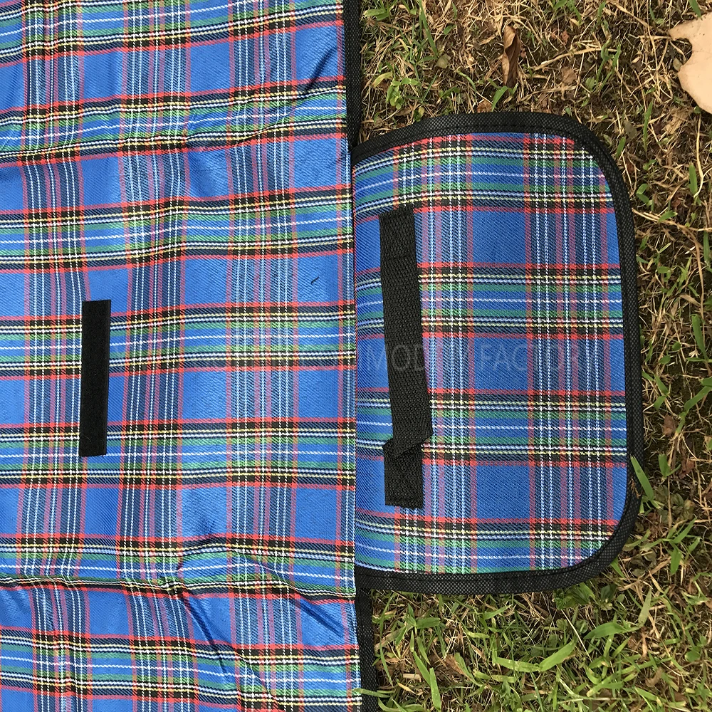 picnic bag with blanket