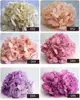 dried flowers preserved big size leaves preserved hydrangea