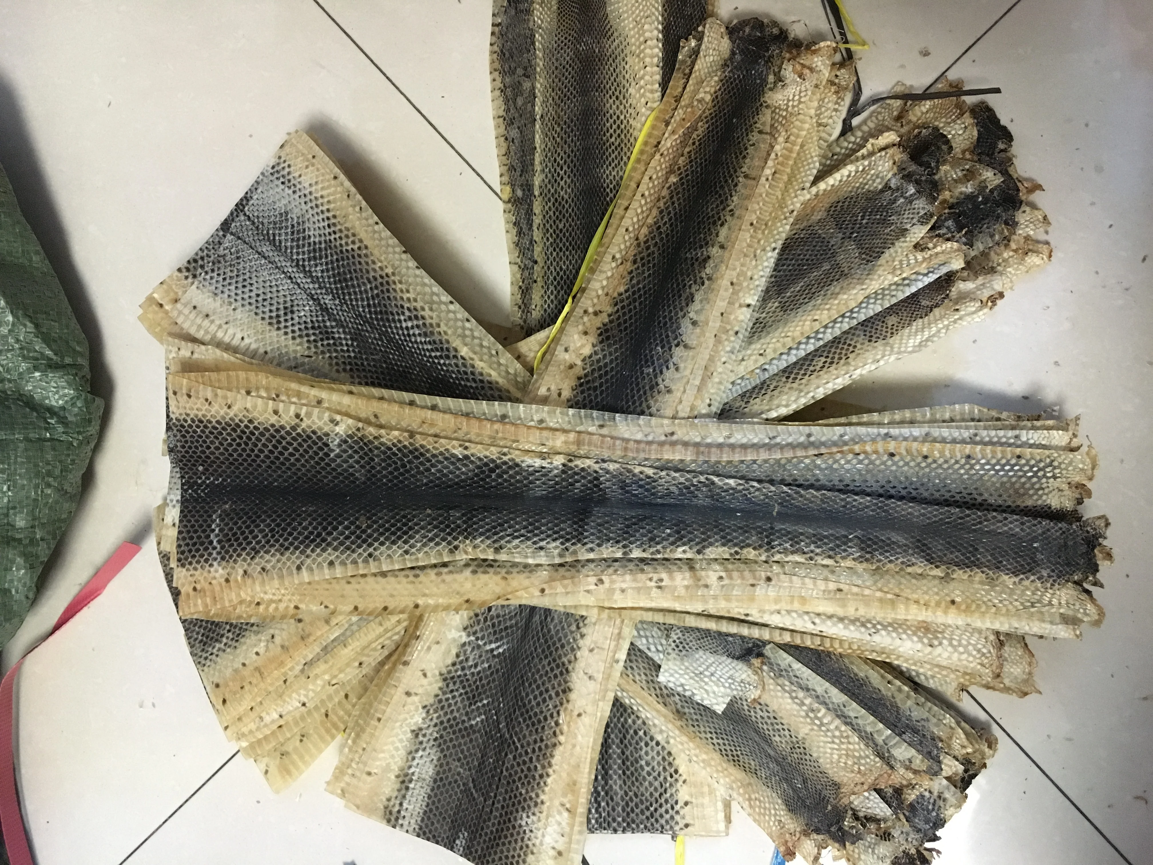 Dry Raw Water Snake Skin Buy Snake Skins For Sale,Water Snake Skin