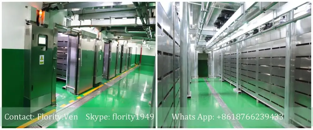 Chicken thawing chamber for defrosting machine frozen meat microwave thawing machine equipment
