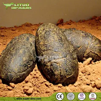 dinosaur eggs for sale