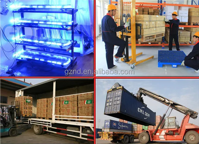 testing and shipment