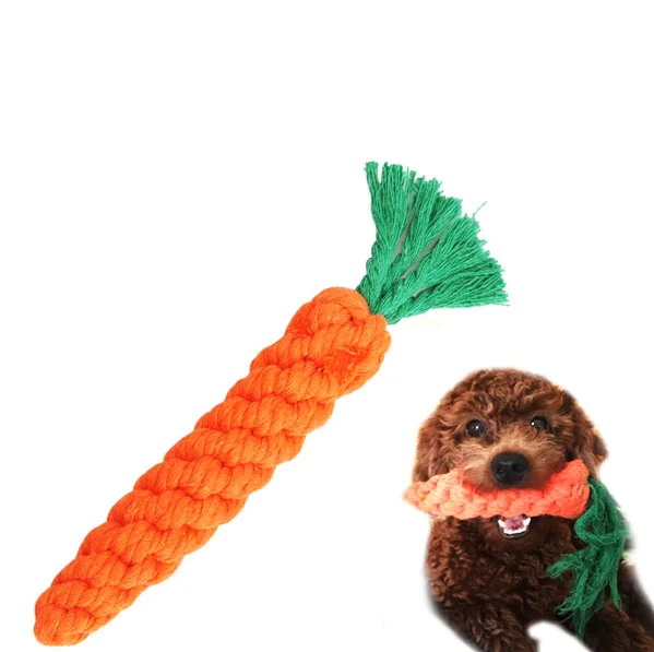 braided dog toy