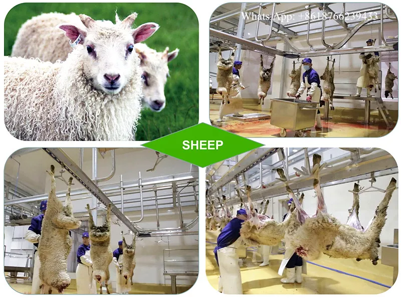 New lamb slaughtering equipment sheep slaughterhouse line sheep slaughtering machine