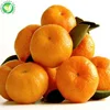 Chinese bulk fresh mandarin oranges in price
