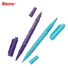 Hot Sell 12 assorted colors twin tip permanent markers in gift case pack