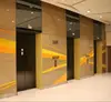 Commercial food elevator by Golden Boat
