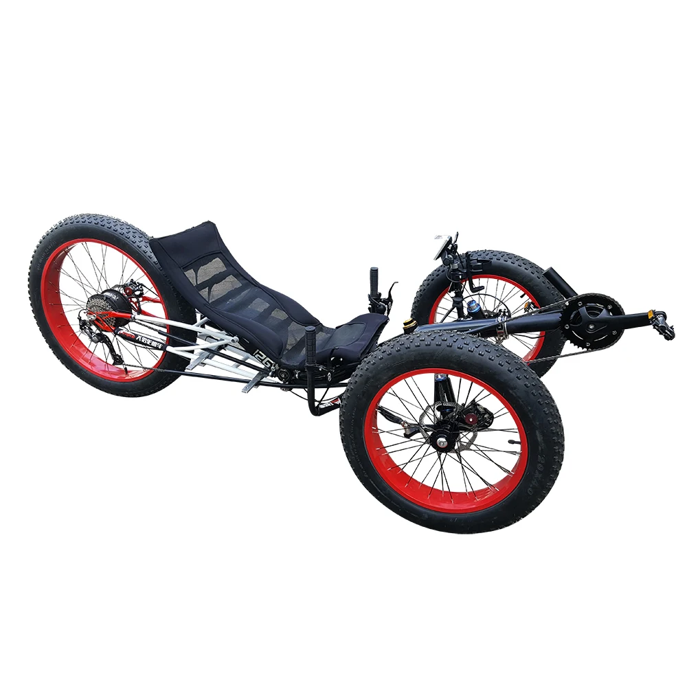 rough terrain 3 wheel electric bike