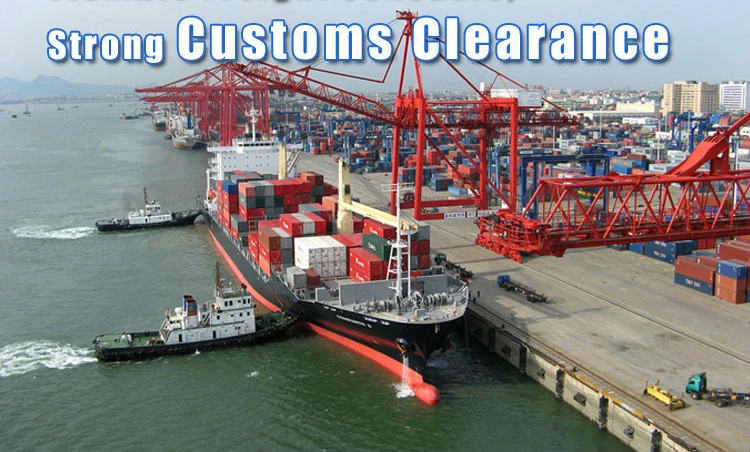 Shenzhen Customs Clearance-Shenzhen Customs Clearance Agent Provide Door to Door Customs Clearance Service