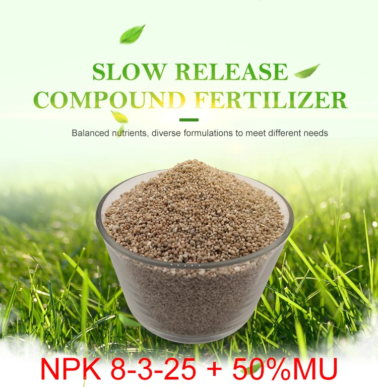 turf fertilizer