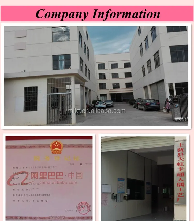 Company Information-01